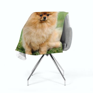 Foto-Kuscheldecke "Brauner pommerscher Hund" Wohndecke, Fleecedecke mit 3D Fotodruck