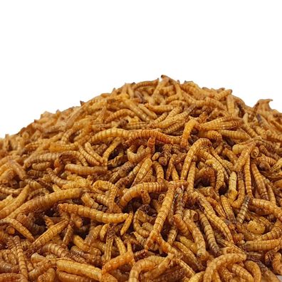 Mehlwürmer getrocknet 1 kg - Koifutter, Fische, Nager, Vögel, Reptilien, Koi