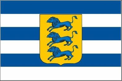 Fahne Flagge Tallinn 90 x 150 cm