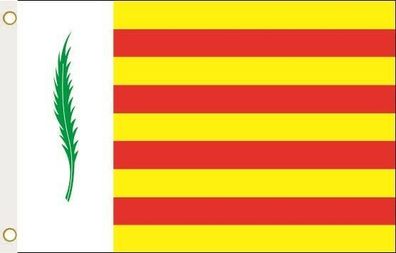 Fahne Flagge Argentona Stadt Spanien Hissflagge 90 x 150 cm