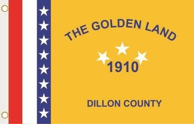 Fahne Flagge Dillon County South Carolina Hissflagge 90 x 150 cm