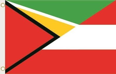 Fahne Flagge Guyana-Österreich Hissflagge 90 x 150 cm
