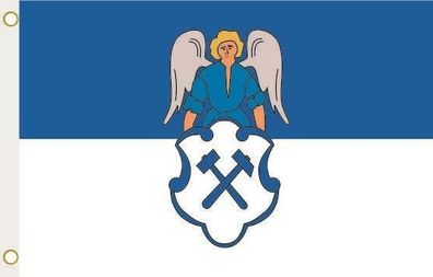 Fahne Flagge Falkenstein (Vogtland) Hissflagge 90 x 150 cm