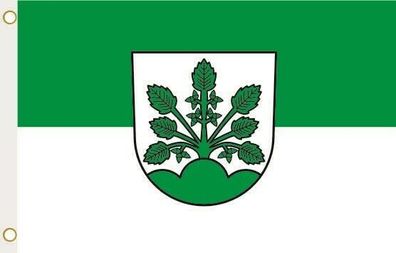 Fahne Flagge Haslach im Kinzigtal Hissflagge 90 x 150 cm