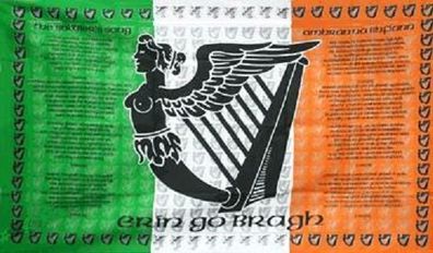 Fahne Flagge Irland Soldier 90 x 150 cm