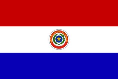Fahne Flagge Paraguay 90 x 150 cm