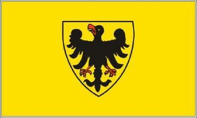 Fahne Flagge Sinsheim 90 x 150 cm