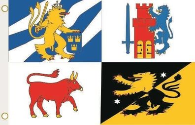 Fahne Flagge Västra Götalands län Hissflagge 90 x 150 cm