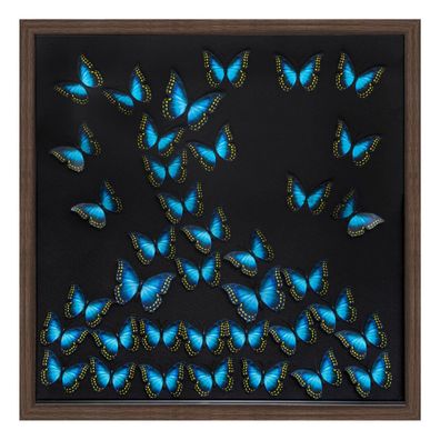 Wanddekoration 3D mit Schmetterlingen, 55 x 55 cm