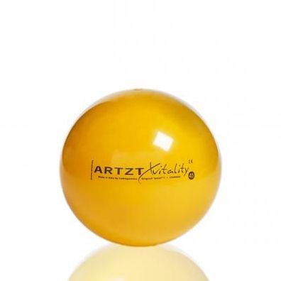 ARTZT vitality Fitness-Ball Standard