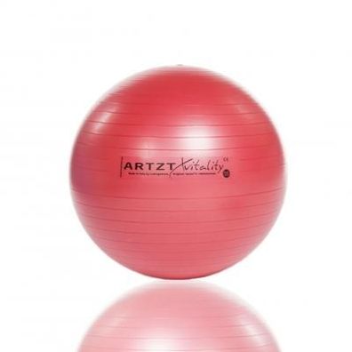 ARTZT vitality Fitness-Ball Professional, Ø 55 cm