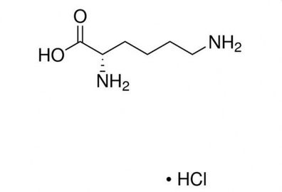 L-Lysin Monohydrochlorid (98,5-101,5%, USP, Food Grade)