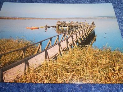 4490 / Ansichtskarte - Bad Buchau - Federsee mit Federseesteg