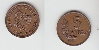 5 Groszy Kupfer Münze Polen 1949