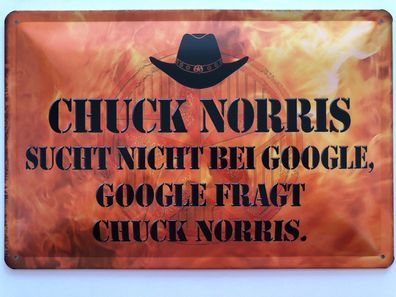 Blechschild 30 X 20 cm Chuck Norris Spruch Witz Google