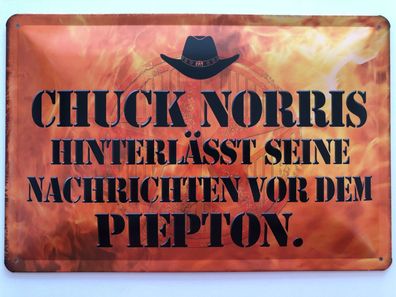 Blechschild 30 X 20 cm Chuck Norris Spruch Witz Nachricht