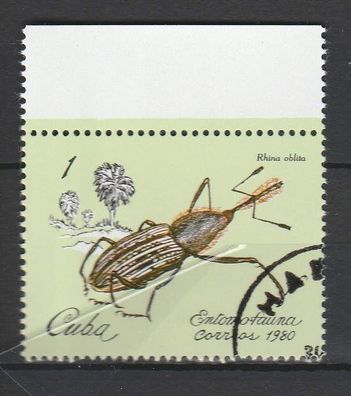 Käfer - Insekten - (Rhina oblita) - Oberrandstück o