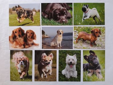 Ansichtskarten Hunde 10er, Postkarten Tier Hund Dackel Mops Schäferhund Grußkarte