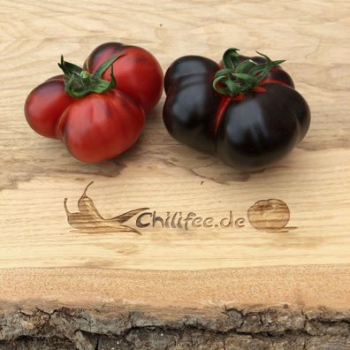 Dark Galaxy schwarz-rote Tomate mit toller Optik und hervorragendem Geschmack