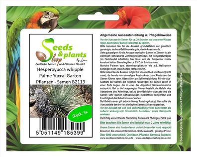 5x Hesperoyucca whipple Palme Yucca Garten Pflanzen - Samen B2113
