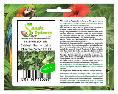 2x Lagenaria siceraria Calabash Flaschenkürbis Pflanzen - Samen B2143