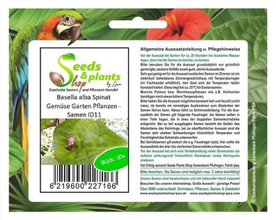 10x Basella alba Spinat Gemüse Garten Pflanzen - Samen ID11