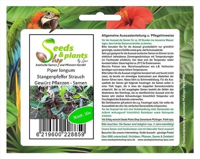10x Piper longum Stangenpfeffer Strauch Gewürz Pflanzen - Samen ID151