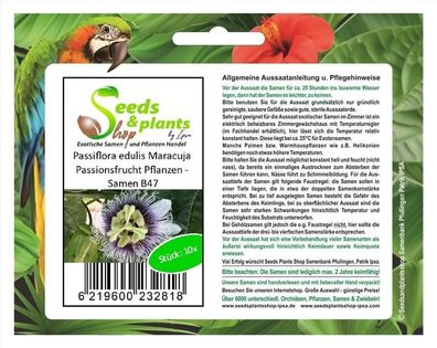 10x Passiflora edulis Maracuja Passionsfrucht Pflanzen - Samen B47