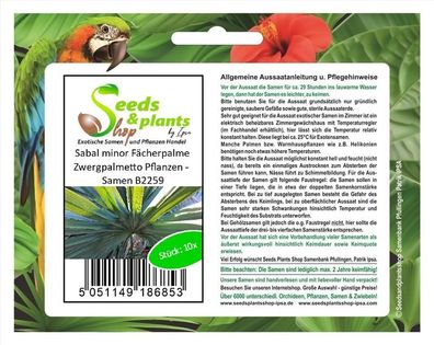 10x Sabal minor Fächerpalme Zwergpalmetto Pflanzen - Samen B2259