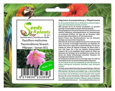 10x Passiflora mollissima Passionsblume Strauch Pflanzen - Samen B51