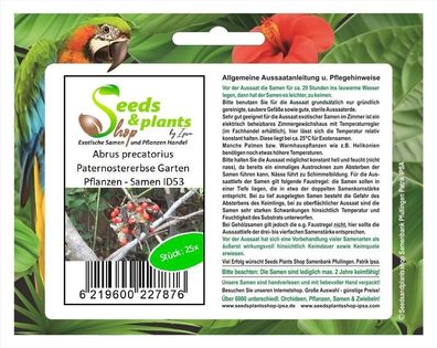 25x Abrus precatorius Paternostererbse Garten Pflanzen - Samen ID53