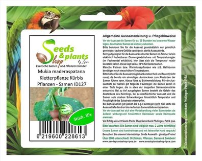 10x Mukia maderaspatana Kletterpflanze Kürbis Pflanzen - Samen ID127