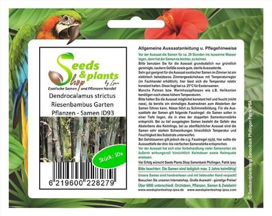 10x Dendrocalamus strictus Riesenbambus Garten Pflanzen - Samen ID93