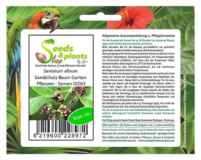 10x Santalum album Sandelholz Baum Garten Pflanzen - Samen ID163