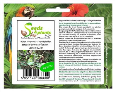 15x Piper longum Stangenpfeffer Strauch Gewürz Pflanzen - Samen B2234