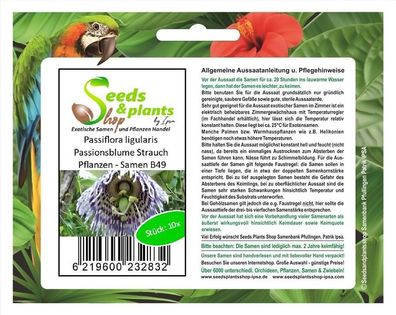 10x Passiflora ligularis Passionsblume Strauch Pflanzen - Samen B49
