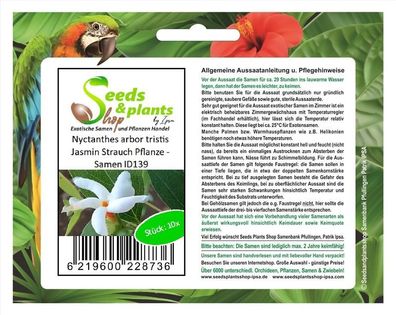 10x Nyctanthes arbor tristis Jasmin Strauch Pflanze - Samen ID139