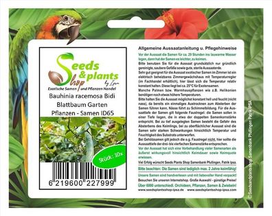 10x Bauhinia racemosa Bidi Blattbaum Garten Pflanzen - Samen ID65