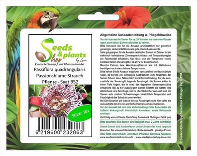 10x Passiflora quadrangularis Passionsblume Strauch Pflanze - Saat B52