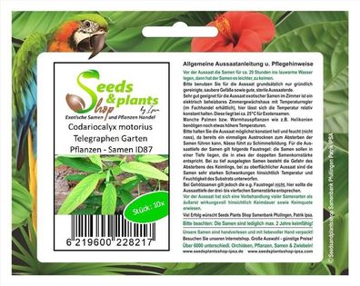 10x Codariocalyx motorius Telegraphen Garten Pflanzen - Samen ID87