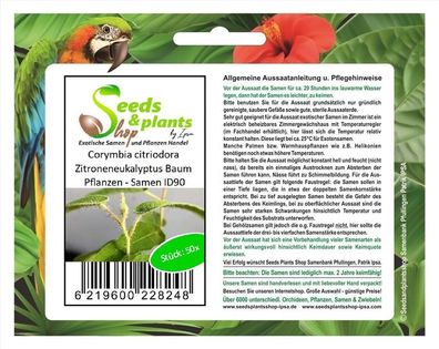 50x Corymbia citriodora Zitroneneukalyptus Baum Pflanzen - Samen ID90
