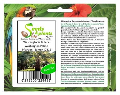 25x Washingtonia filifera Washington Palme Pflanzen - Samen ID215