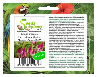 10x Celosia argentea Fuchsschwanz Garten Pflanzen - Samen ID199