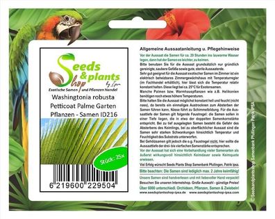 25x Washingtonia robusta Petticoat Palme Garten Pflanzen - Samen ID216