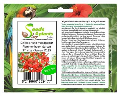 10x Delonix regia Madagascar Flammenbaum Garten Pflanze - Samen ID183