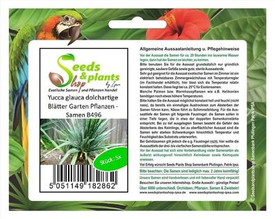 5x Yucca glauca dolchartige Blätter Garten Pflanzen - Samen B496