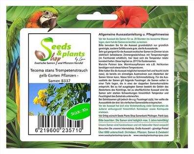 30x Tecoma stans Trompetenstrauch gelb Garten Pflanzen - Samen B337