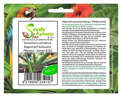 3x Sansevieria cylindrica Bogenhanf Sukkulent Pflanzen - Samen B181