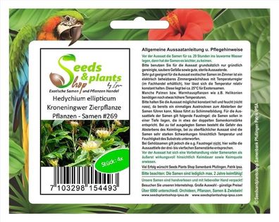 4x Hedychium ellipticum Kroneningwer Zierpflanze Pflanzen - Samen #269