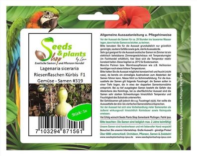 5x Lagenaria siceraria Riesenflaschen Kürbis F1 Gemüse - Samen #319